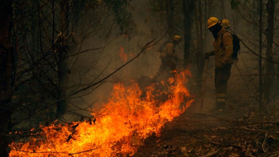 Ratusan Kebakaran Hutan Terjadi di Chili, Korban Tewas Terus Meningkat