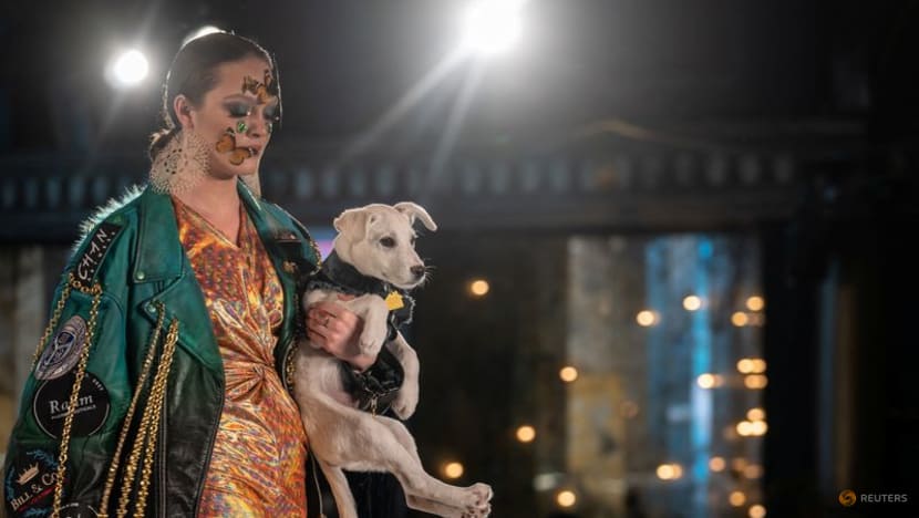 Anjing Menggebrak Catwalk di New York Fashion Week