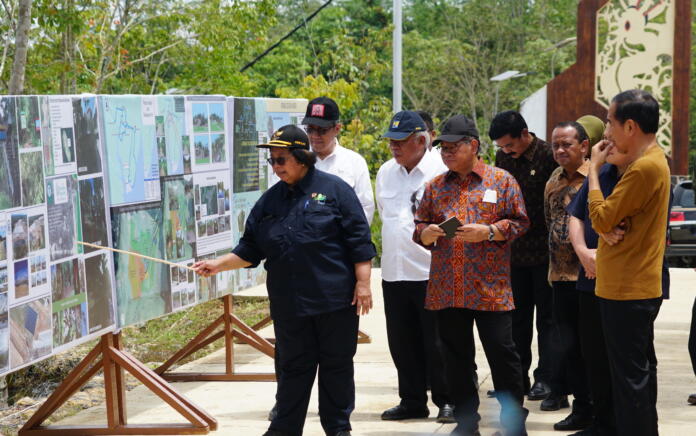 Pemerintah Bangun Hutan Hujan Tropis Alami di IKN Nusantara