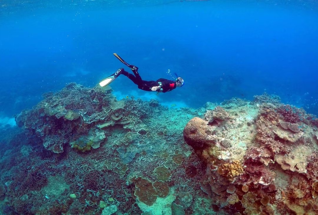 Australia Tolak Izin Tambang Batu Bara di Dekat Great Barrier Reef