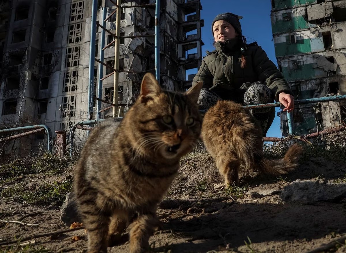 Seorang Siswi Memberi Makan Kucing Liar di Puing-puing Ukraina