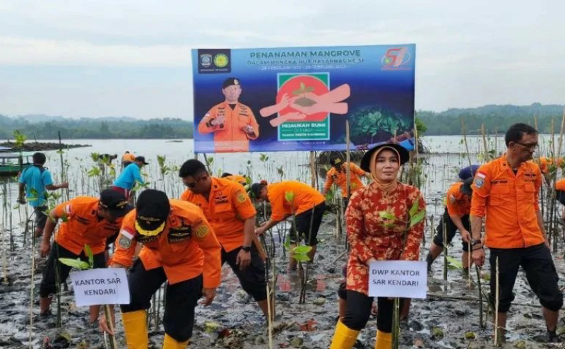 Rehabilitasi Kawasan Pesisir Teluk Bungkutoko, Basarnas Kendari Tanam 500 Bibit Mangrove