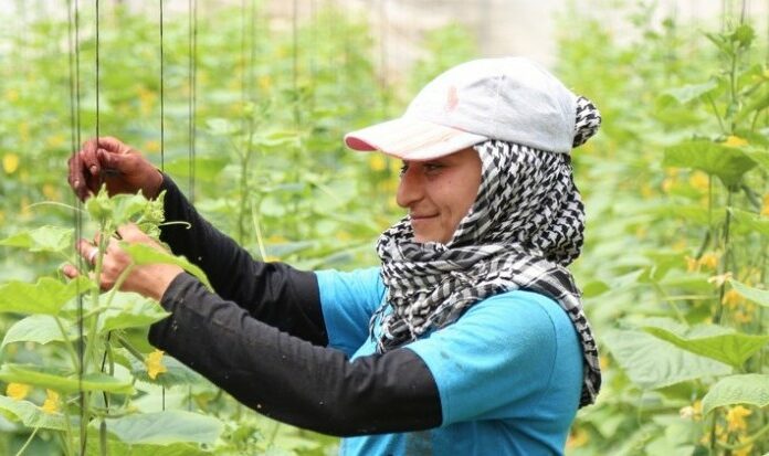 Menteri Pertanian Lebanon Serukan Peningkatan Kemitraan Negara-negara Arab