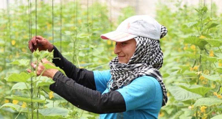 Menteri Pertanian Lebanon Serukan Peningkatan Kemitraan Negara-negara Arab