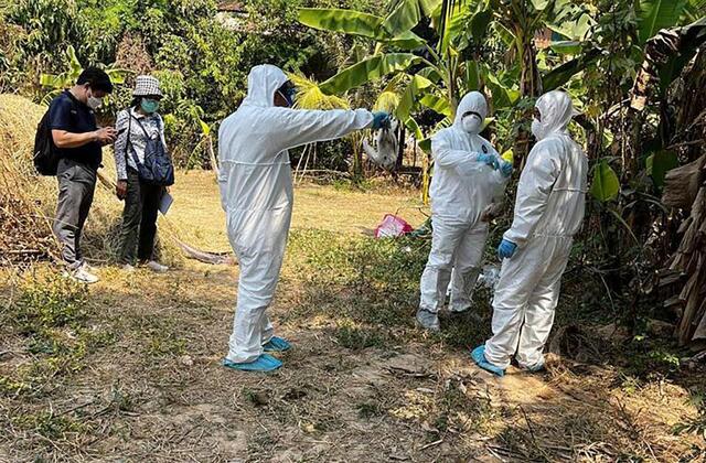 Kamboja Sebut Kasus Flu Burung Baru-baru Ini Tidak Disebarkan oleh Manusia