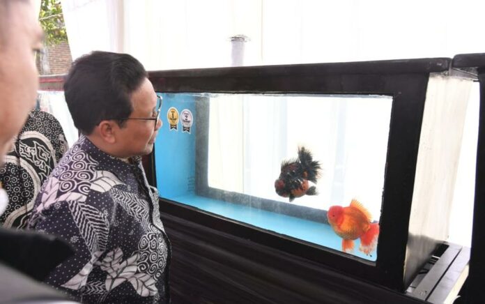 Ingin Jadikan Tulungagung sebagai Ikon Ikan Mas Koki, Mendes Halim Optimistis Mendunia