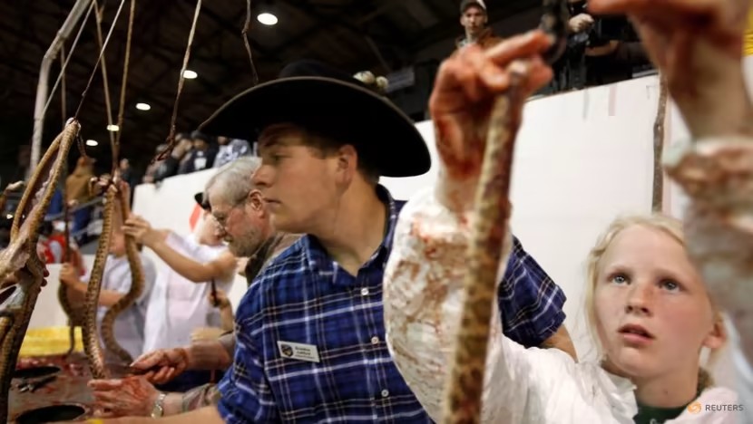 Rattlesnake Roundup, Tradisi Membunuh dan Menguliti Ular di Texas Tuai Kritik