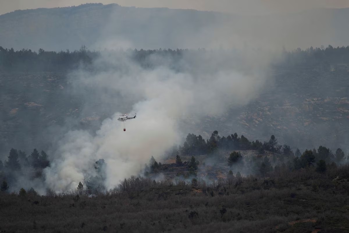Kebakaran Hutan Pertama Tahun Ini Menghancurkan 3.000 Hektar di Spanyol