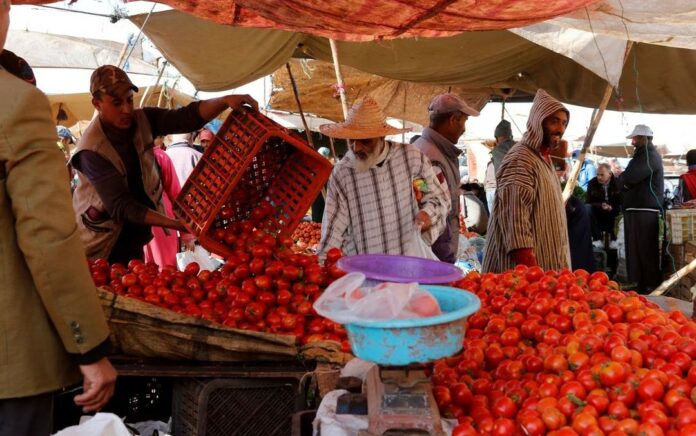 Maroko Batasi Ekspor Tomat Karena Tingginya Harga Domestik