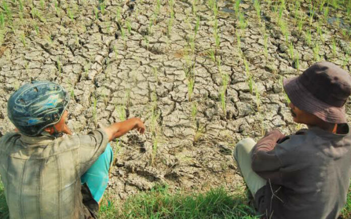 Fenomena Iklim El Nino Diperkirakan Mulai Terjadi Bulan Ini