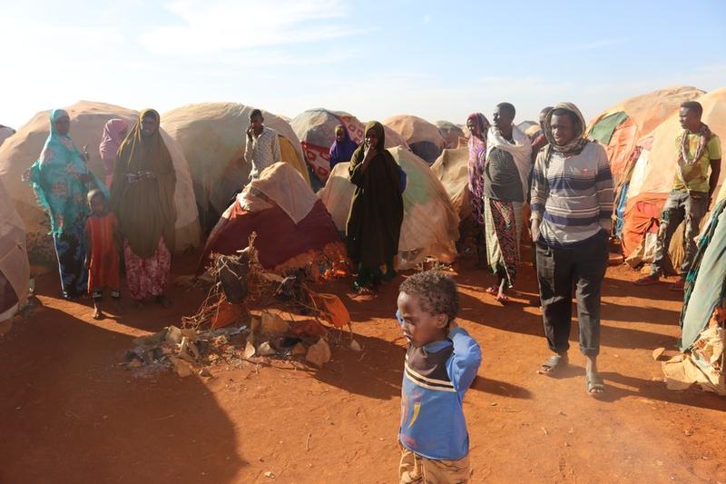 IOM Sebut Perubahan Iklim Picu Warga di Kawasan Tanduk Afrika Mengungsi