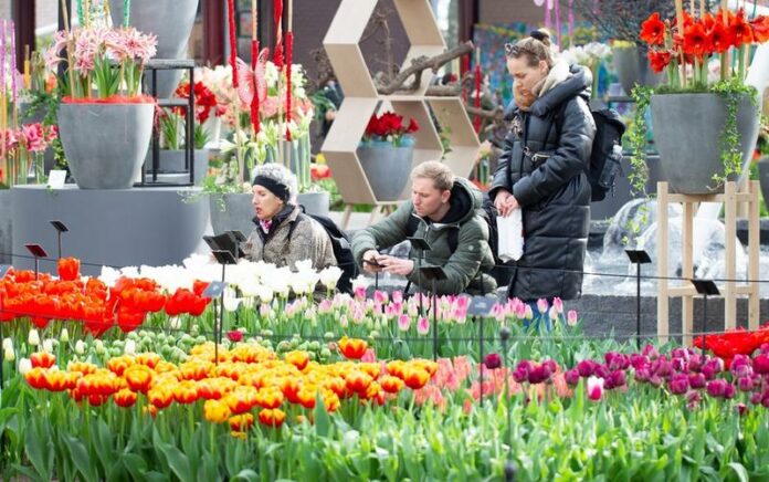 Taman Bunga Keukenhof Belanda Dibuka untuk Umum