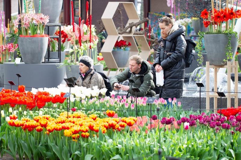Taman Bunga Keukenhof Belanda Dibuka untuk Umum