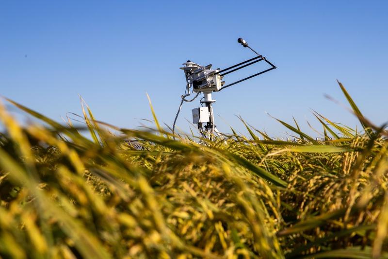 China Berkomitmen Terus Dorong Modernisasi Meteorologi