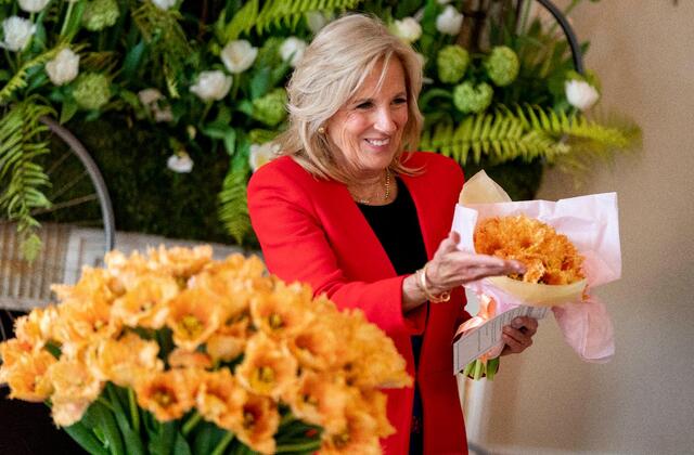 Berwarna Menawan, Varietas Baru Bunga Tulip Belanda Dinamai Jill Biden