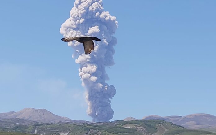 Otoritas Rusia Melaporkan Ledakan Abu 2 Mil Baru Gunung Berapi Ebeko