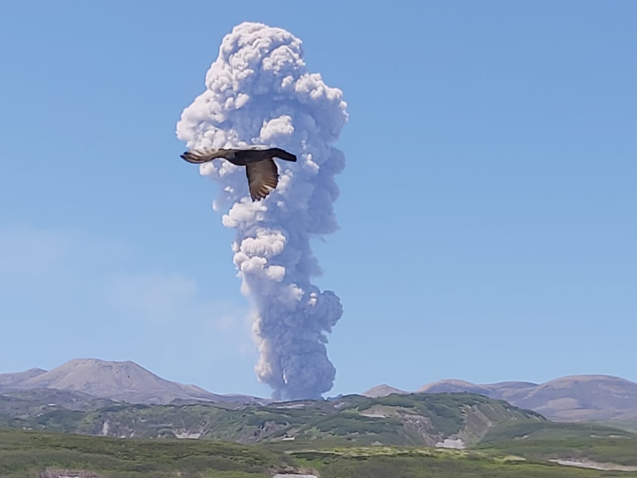 Otoritas Rusia Melaporkan Ledakan Abu 2 Mil Baru Gunung Berapi Ebeko