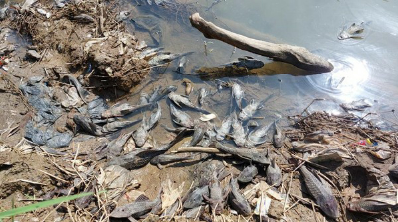DPR Desak DLH Bogor Tegas Terhadap Pelaku Pencemaran Sungai Cileungsi