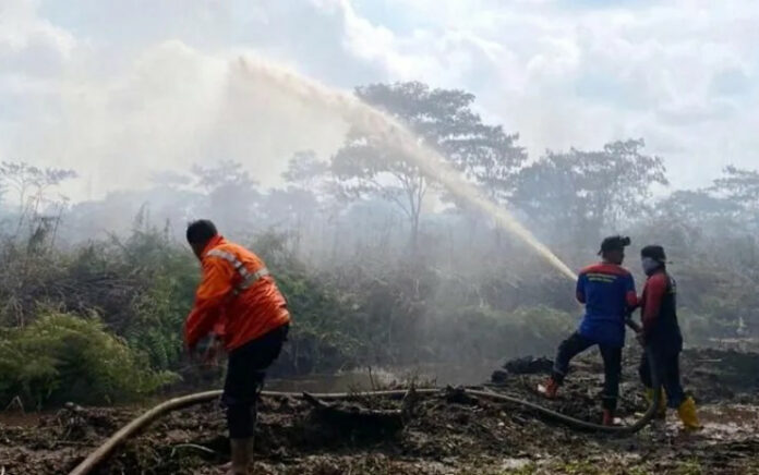 BPBD: 10 Hektare Lahan Perkebunan di Aceh Barat Terbakar