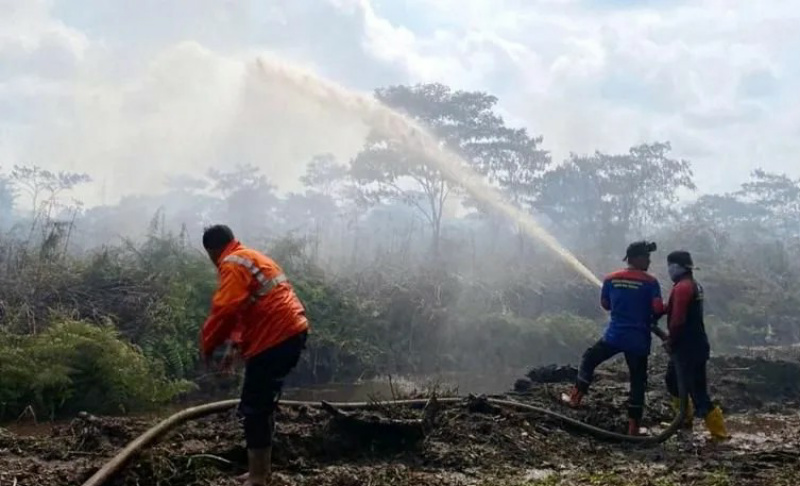BPBD: 10 Hektare Lahan Perkebunan di Aceh Barat Terbakar