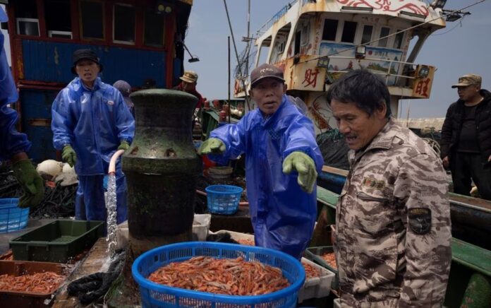 Nelayan membongkar udang yang mereka tangkap di Selat Taiwan saat kapal mereka melepas tangkapannya di pelabuhan di Pulau Pingtan, provinsi Fujian, China, 7 April 2023. Foto: Reuters/Thomas Peter.