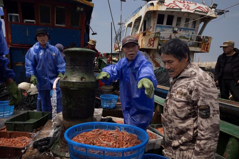 Nelayan membongkar udang yang mereka tangkap di Selat Taiwan saat kapal mereka melepas tangkapannya di pelabuhan di Pulau Pingtan, provinsi Fujian, China, 7 April 2023. Foto: Reuters/Thomas Peter.