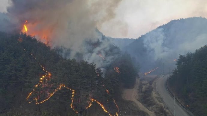 Kebakaran Hutan di Pusat Kota Seoul, 120 Rumah Dievakuasi