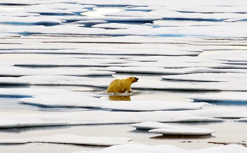 Studi Baru Kaitkan Hilangnya ES Laut Arktika dengan Cuaca Dingin Ekstrem