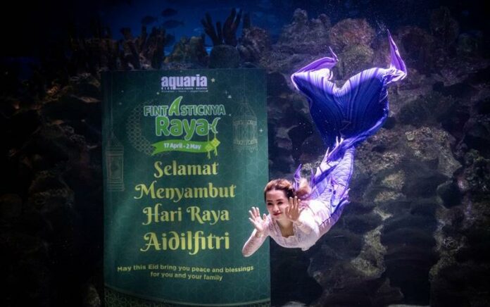 Sambut Idul Fitri, Akuarium Malaysia Gelar Pertunjukan "Putri Duyung" yang Memukau