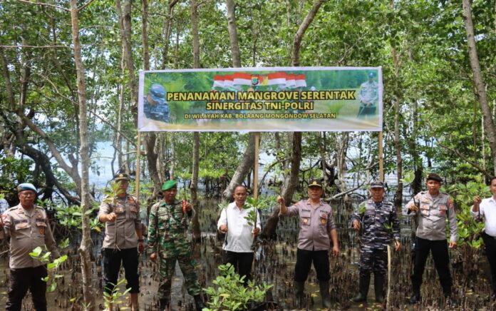 Polisi dan TNI di Bolsel Tanam Ratusan Mangrove