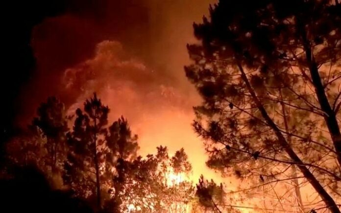 Kebakaran Merusak Hutan di Spanyol Barat, Penduduk Desa Dievakuasi