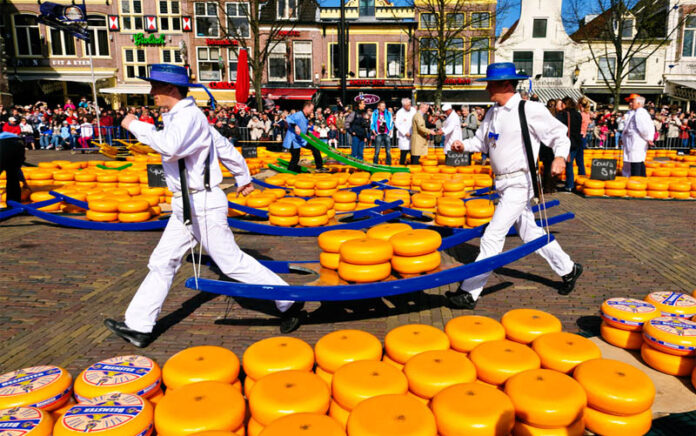 Kota Alkmaar Belanda Gelar Pasar Keju yang Terkenal