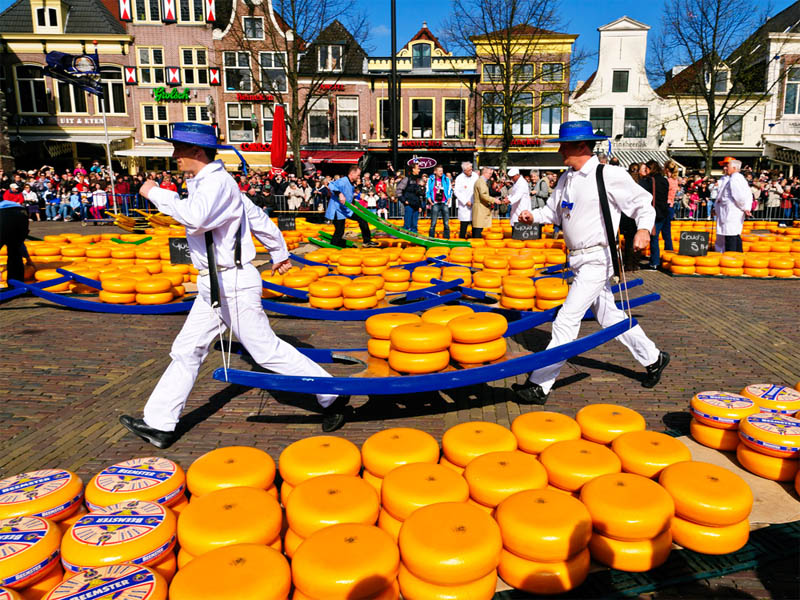 Kota Alkmaar Belanda Gelar Pasar Keju yang Terkenal