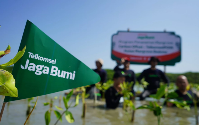 Telkomsel Tanam 15.060 Mangrove Melalui Program Carbon Offset