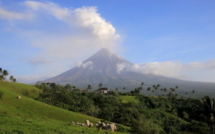 Abu vulkanik menyembur keluar dari kawah gunung berapi Gunung Mayon selama letusan di Camalig, provinsi Albay, selatan Manila, Filipina 29 Januari 2018. Foto: Reuters/Romeo Ranoco.