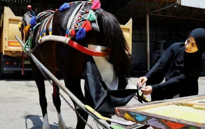 Inovasi 'Popok Kuda' Menjaga Jalanan Gaza Tetap Bersih