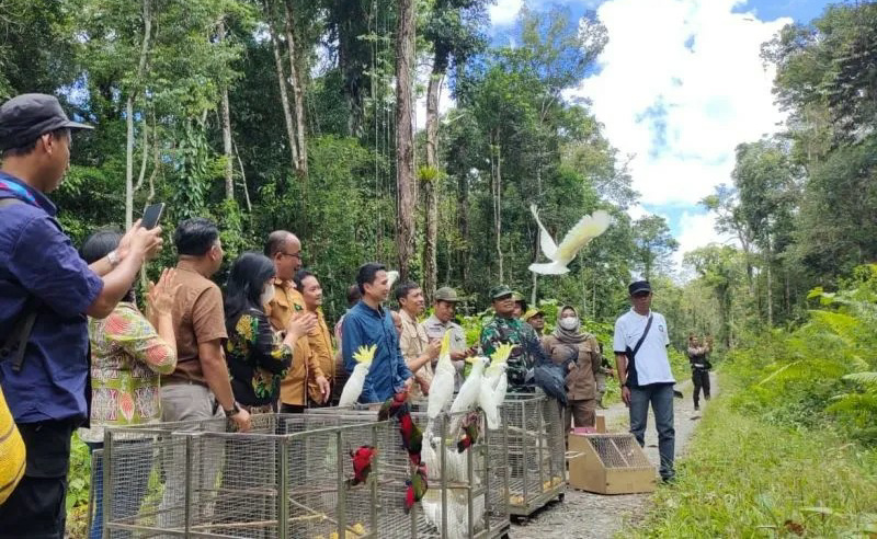 62 Burung Aves Dilepasliarkan di Kawasan Hutan Kuala Kencana
