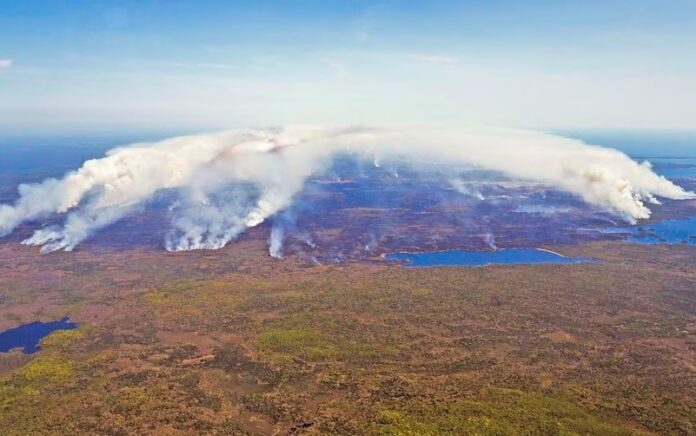 Pemandangan udara kebakaran hutan di Shelburne County, Nova Scotia, Kanada dalam gambar selebaran media sosial yang dirilis 31 Mei 2023. Foto: Pemerintah Nova Scotia/HO/Reuters.