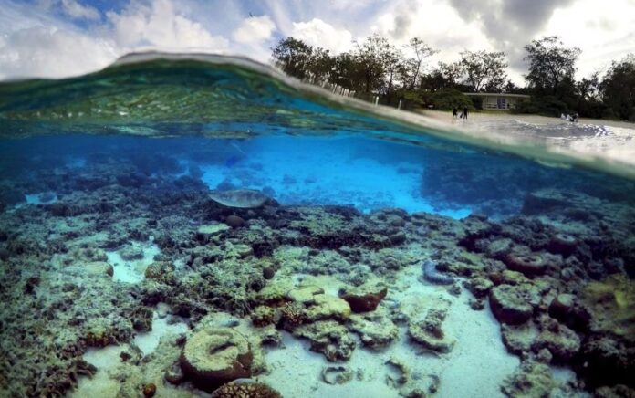 Turis berdiri di depan gubuk yang merupakan bagian dari Lady Elliot Island Eco Resort tempat penyu menggali makanan di antara karang di laguna pulau, timur laut kota Bundaberg di Queensland, Australia, 9 Juni 2015. Foto: /David Gray/File Foto.