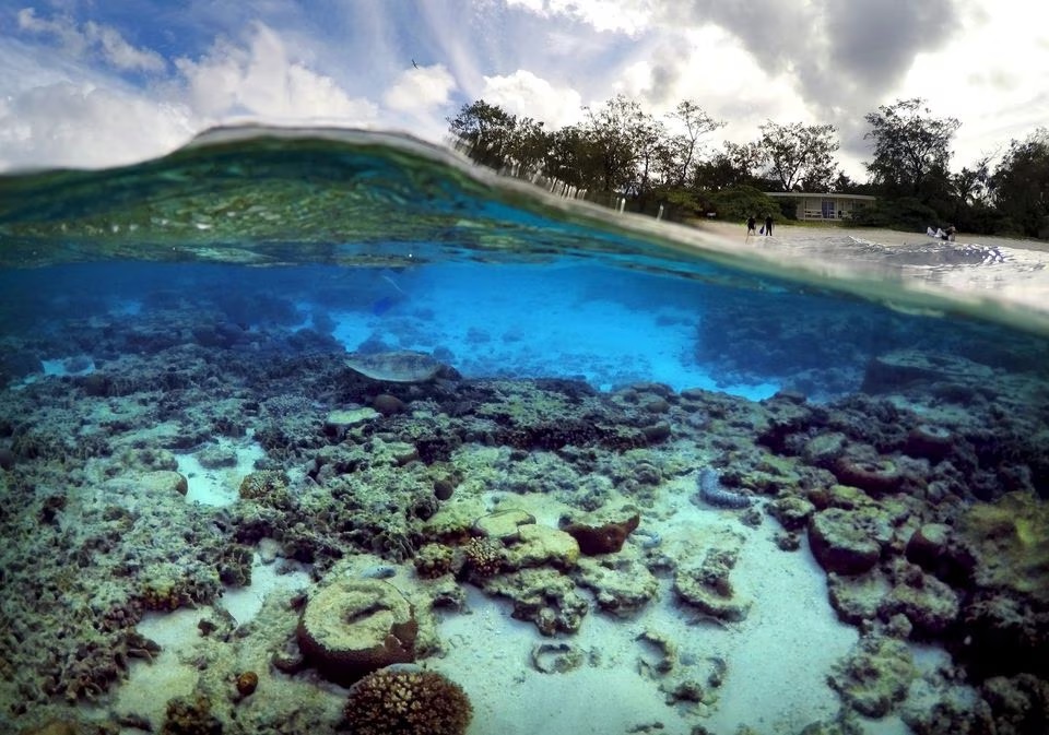 Turis berdiri di depan gubuk yang merupakan bagian dari Lady Elliot Island Eco Resort tempat penyu menggali makanan di antara karang di laguna pulau, timur laut kota Bundaberg di Queensland, Australia, 9 Juni 2015. Foto: /David Gray/File Foto.