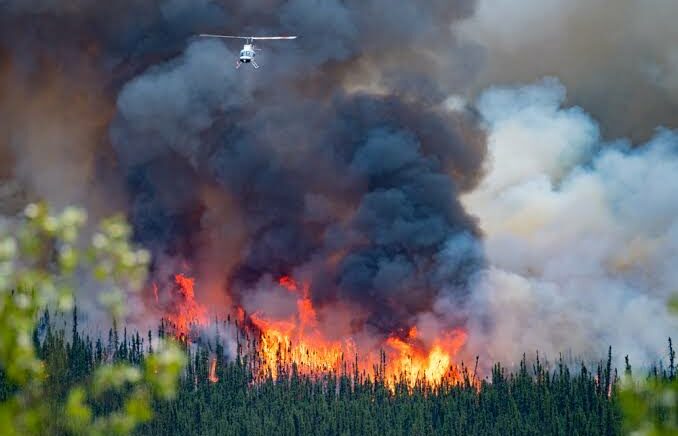 Asap Tebal Kebakaran Hutan di Kanada Picu Penundaan Ratusan Penerbangan AS