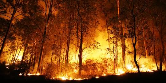 Portugal Mengirim 140 Petugas Pemadam Kebakaran ke Kanada