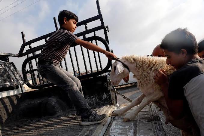 Perjuangan Warga Lebanon untuk Membeli Hewan Kurban dalam Krisis Ekonomi