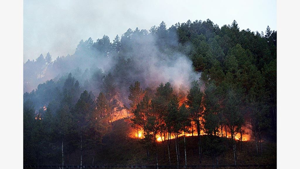 2,5 juta Hektar Lahan Gambut Sangat Rentan Kebakaran