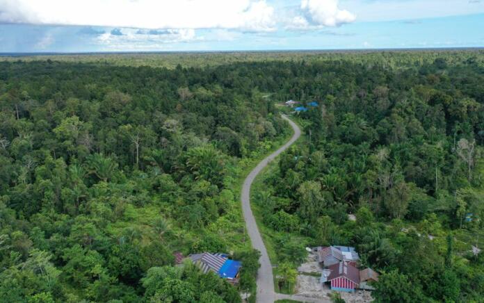 Konservasi Indonesia Ajukan Usulan Penetapan Hutan Adat di Distrik Konda