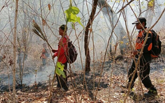 Karhutla di Taman Nasional Baluran, Luas Areal Terbakar Terus Bertambah