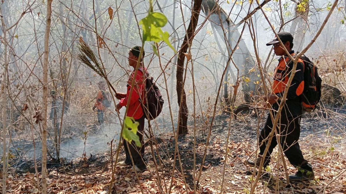 Karhutla di Taman Nasional Baluran, Luas Areal Terbakar Terus Bertambah