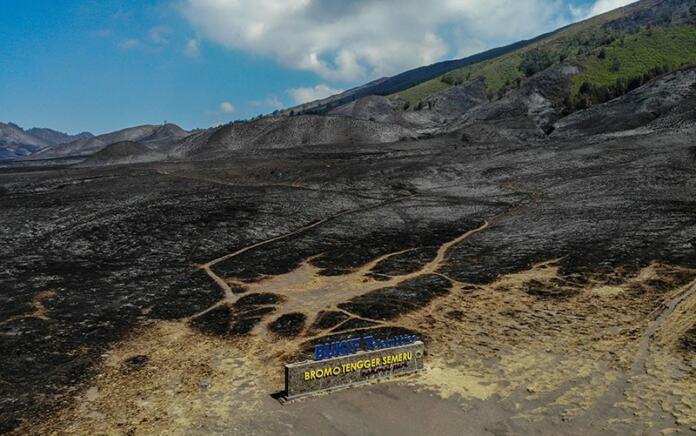 Kebakaran Gunung Bromo, Kerusakan Capai 504 Hektare