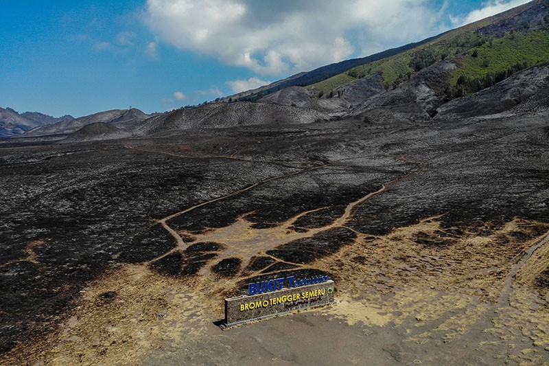 Kebakaran Gunung Bromo, Kerusakan Capai 504 Hektare