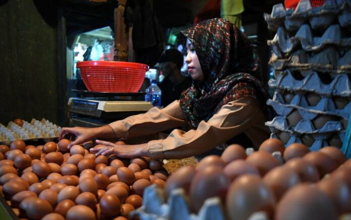 Harga Daging Ayam, Bawang Merah, dan Telur Menyumbang Deflasi di Indonesia